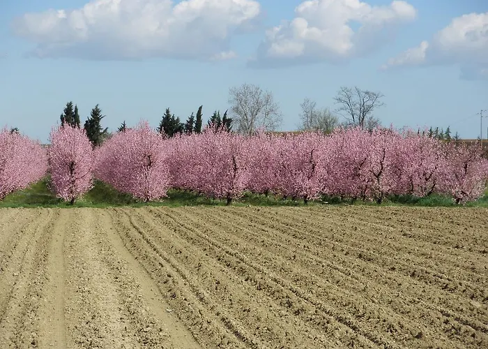 Panzió La Fornasaccia Cesena