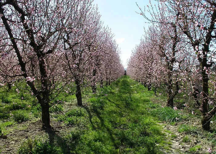 Panzió La Fornasaccia 4*
