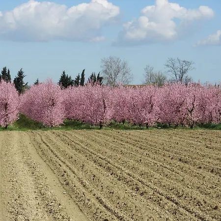 Oda ve Kahvaltı La Fornasaccia Cesena