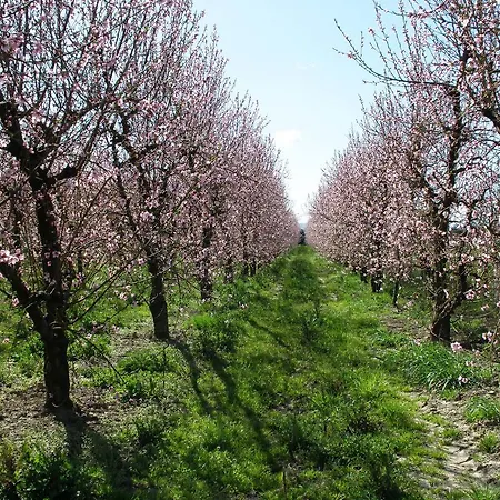 Panzió La Fornasaccia 4*