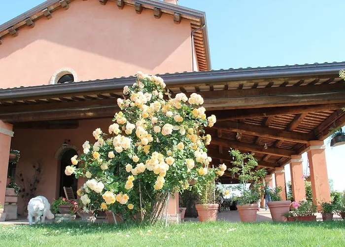 La Fornasaccia 4* Cesena